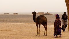 Familia nómada en el desierto de Marruecos • <a style="font-size:0.8em;" href="http://www.flickr.com/photos/92957341@N07/8458829408/" target="_blank">View on Flickr</a>