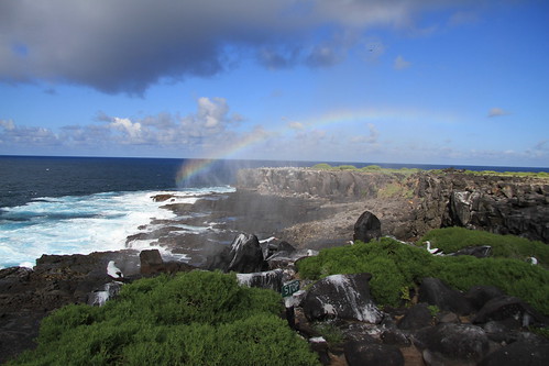 Galapagos Tour, 2012