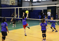 Torneo minivolley Albisola • <a style="font-size:0.8em;" href="http://www.flickr.com/photos/69060814@N02/8592855045/" target="_blank">View on Flickr</a>