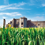 Bunowen Castle and Yellow Iris <a style="margin-left:10px; font-size:0.8em;" href="http://www.flickr.com/photos/89335711@N00/8595167187/" target="_blank">@flickr</a>