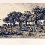<b>Lande de Kerlagadic</b><br/> Camille Bernier (Etching) (1869)<a href="//farm9.static.flickr.com/8526/8451337542_2cb5ffc396_o.jpg" title="High res">&prop;</a>
