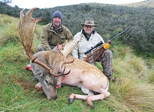 New Zealand Red Stag Hunting - Christchurch 30