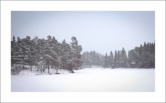 Snowy Haukvatnet II