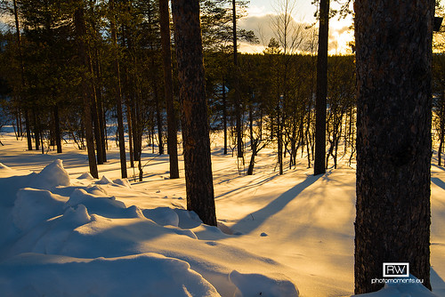 Sunset in the forest near Ivalo • <a style="font-size:0.8em;" href="http://www.flickr.com/photos/93920879@N06/8679124828/" target="_blank">View on Flickr</a>