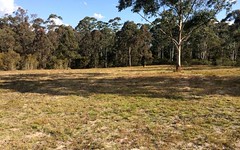 Lot 405 'Riverdowns Estate', East Seaham Road, Clarence Town NSW