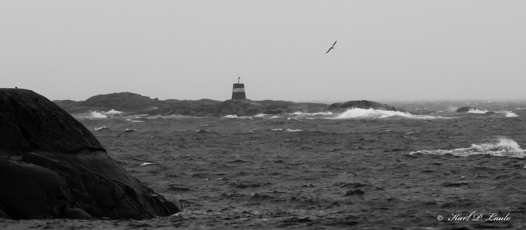 storm arendal