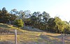 1739 Wollombi Road, Cedar Creek NSW