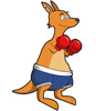 Boxer Roo