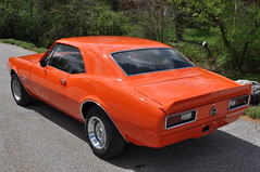 1969 Camaro • <a style="font-size:0.8em;" href="http://www.flickr.com/photos/85572005@N00/8675799384/" target="_blank">View on Flickr</a>