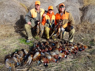 South Dakota Pheasant Hunt - Pierre 6