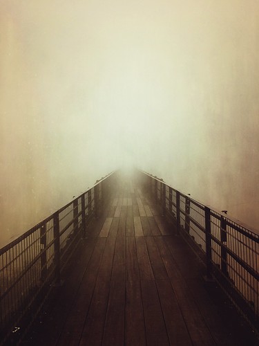 Passarela com neblina, From FlickrPhotos