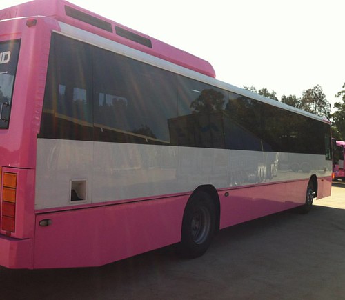 Tell us where would you like to ride this Pink Party Bus ? #RidePinkPartyBus