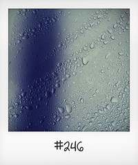 #DailyPolaroid of 31-5-16 #246 • <a style="font-size:0.8em;" href="http://www.flickr.com/photos/47939785@N05/28360120655/" target="_blank">View on Flickr</a>