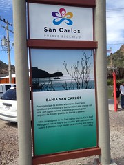 We lived in the Bahia sector of San Carlos.