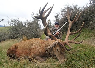 New Zealand Red Stag Hunting - Christchurch 42