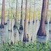 Edie Pie’s Swamp - 24" x 36" - Oil - Sold