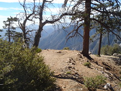 Islip Ridge Trail, Angeles National Forest. California (2)