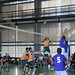 Voleibol J5 CADU • <a style="font-size:0.8em;" href="http://www.flickr.com/photos/95967098@N05/15959610183/" target="_blank">View on Flickr</a>