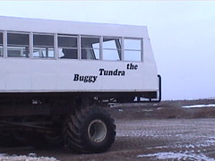 Tundra Buggy