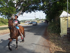 Horserider in the streets of St Croix.