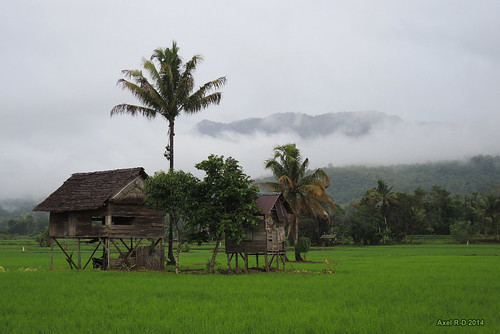 South Sulawesi