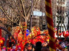 旺财....旺旺.....春节...地支...What will the Year of the Dog bring YOU? .the cat and the dog had a close relationship with humans.They are genial and independent.