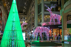 Eaton Centre - Christmas Tree & Reindeer • <a style="font-size:0.8em;" href="http://www.flickr.com/photos/65051383@N05/15803075987/" target="_blank">View on Flickr</a>