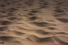 Сыктывкарские дюны