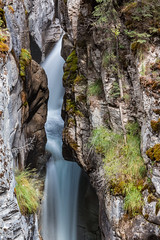 Maligne Canyon • <a style="font-size:0.8em;" href="http://www.flickr.com/photos/92159645@N05/16047574588/" target="_blank">View on Flickr</a>