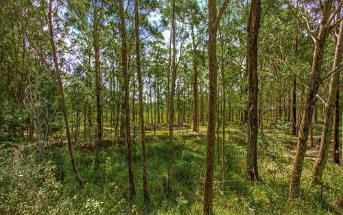 Lot 6, 535 Empire Bay Drive, Bensville NSW