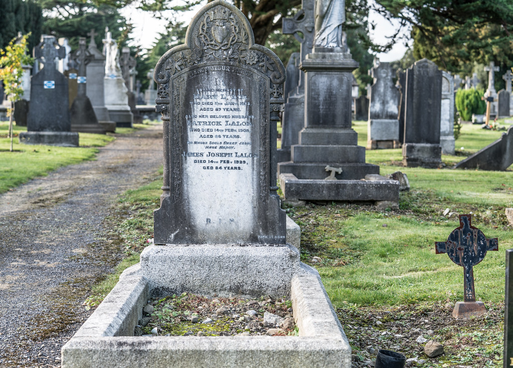 A QUICK VISIT TO GLASNEVIN CEMETERY[SONY F2.8 70-200 GM LENS]-122067