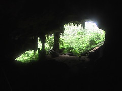 The View from Niah Cave