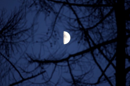 Mond über Soltau 2015 (4/10) • <a style="font-size:0.8em;" href="http://www.flickr.com/photos/69570948@N04/15762671113/" target="_blank">Auf Flickr ansehen</a>