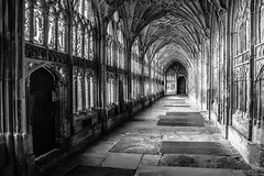 Gloucester Cathedral • <a style="font-size:0.8em;" href="http://www.flickr.com/photos/32236014@N07/16710786346/" target="_blank">View on Flickr</a>