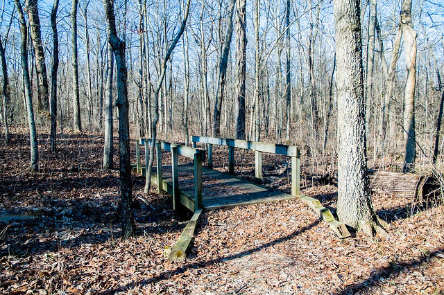 Lincoln State Park - (Sarah) Lincoln's Woods Nature Preserve - January 5, 2015