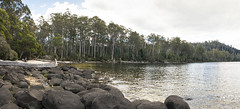 Platypus Bay, Lake St Clair National Park
