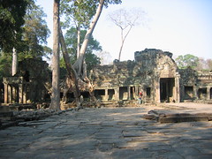 Ta Prohm Siem Reap