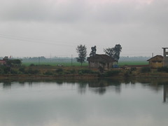 Vietnamese Landscape