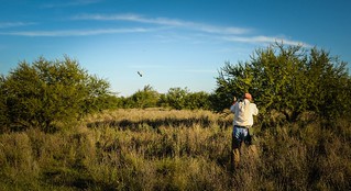 Uruguay Luxury Bird Hunting 6