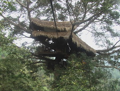 The Gibbon Experience Treehouse Laos