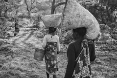 Coffee-Pickers-Returning,-Tanzania-2015