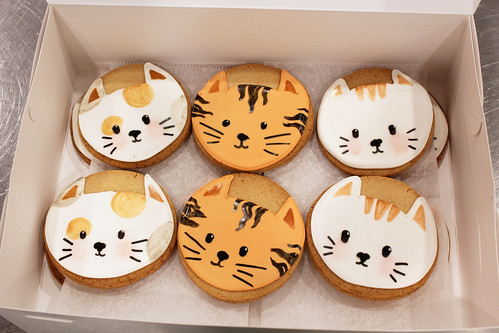 Kitty Cat Cookies