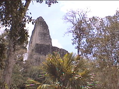 Approaching Tikal Temple V Through the Jungle