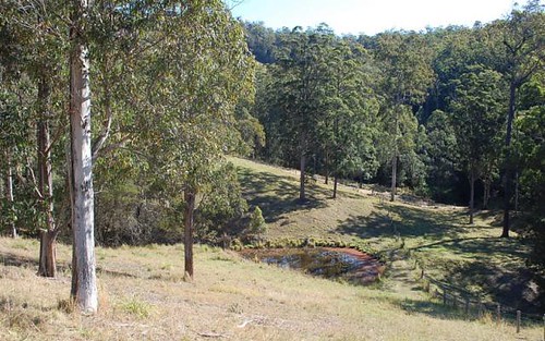 10, 651 Lower Buckrabendinni Road, Argents Hill NSW