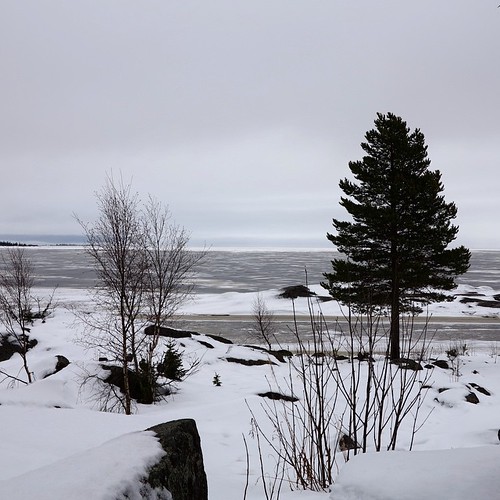 View of frozen sea at Munkviken camp for young people #dioceseoflulea #sweden (Feb 2014)