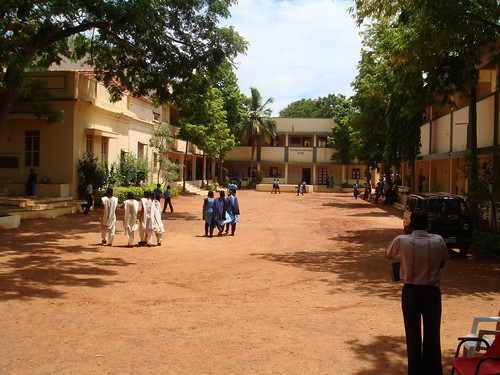 The School