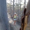 Running through the trees at #Ausdayrun