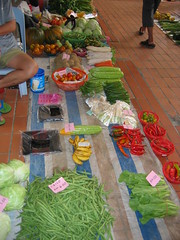Selection of Fresh Vegetables