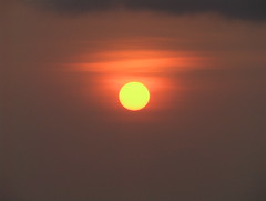 The Orange Sun