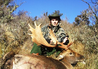 New Zealand Red Stag Hunting - Christchurch 25